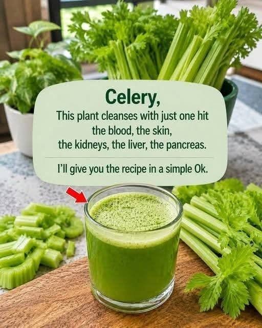 Fresh Celery Juice Recipe