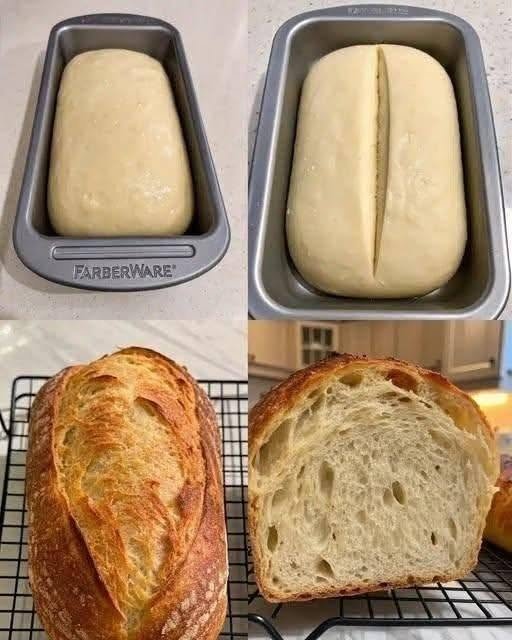No-Knead Artisan Loaf Pan Bread