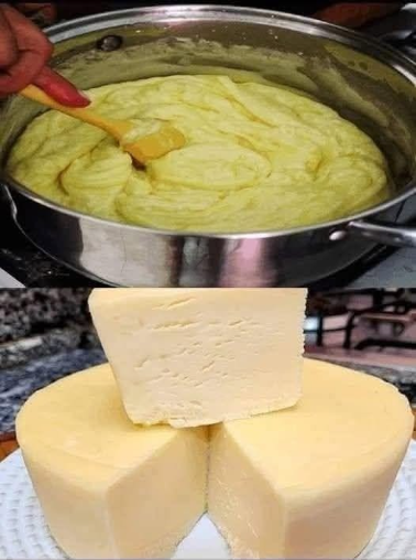 Delicious homemade cheese